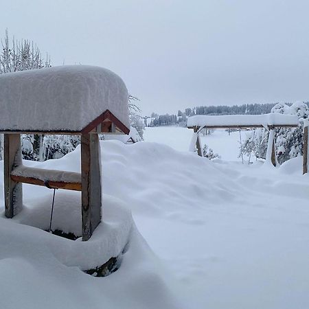 Trollenhof Im Allgaeu - Ferienwohnungen Saeuling Ruckholz Buitenkant foto