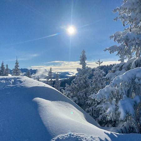 Trollenhof Im Allgaeu - Ferienwohnungen Saeuling Ruckholz Buitenkant foto