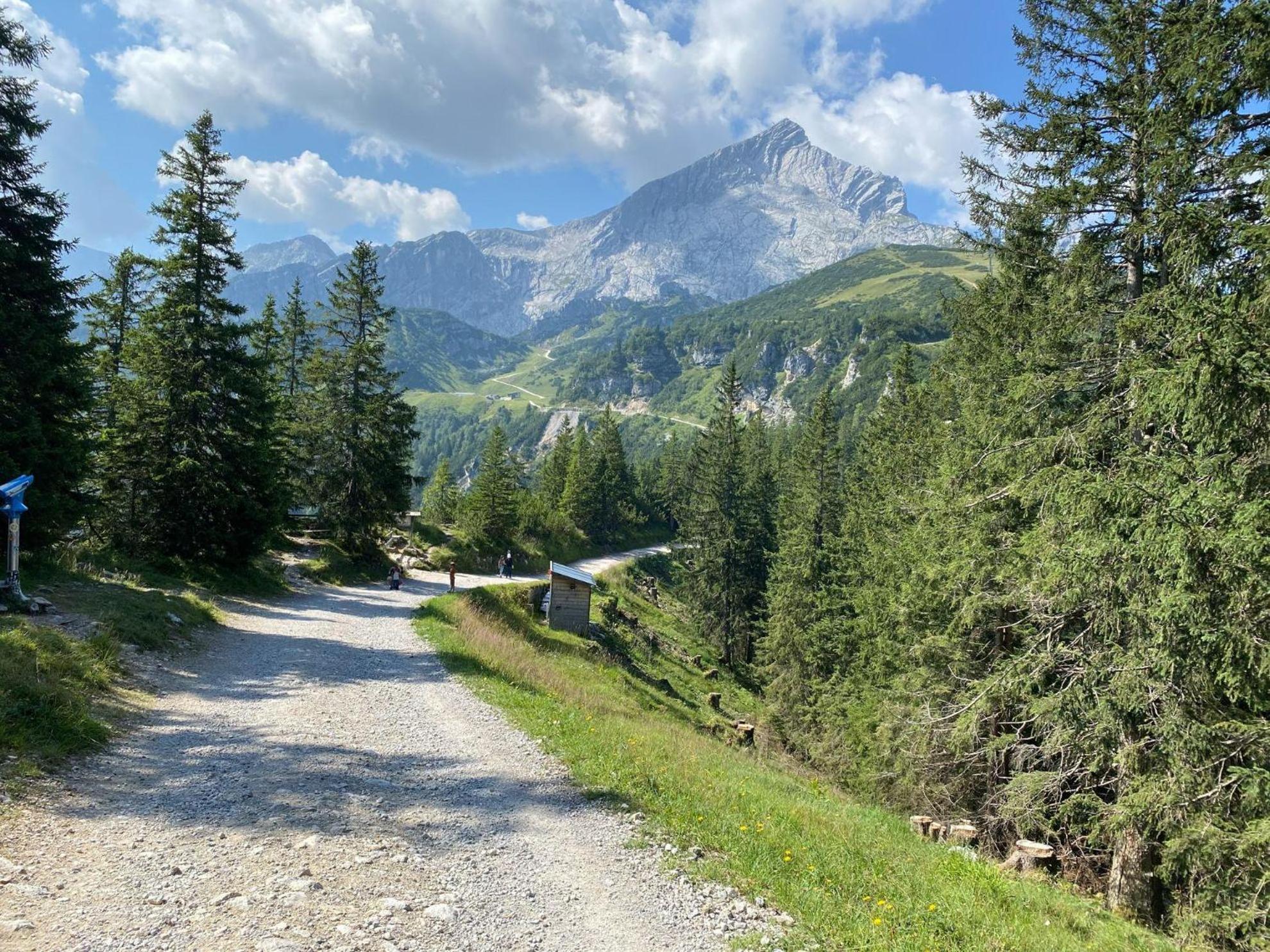 Trollenhof Im Allgaeu - Ferienwohnungen Saeuling Ruckholz Buitenkant foto