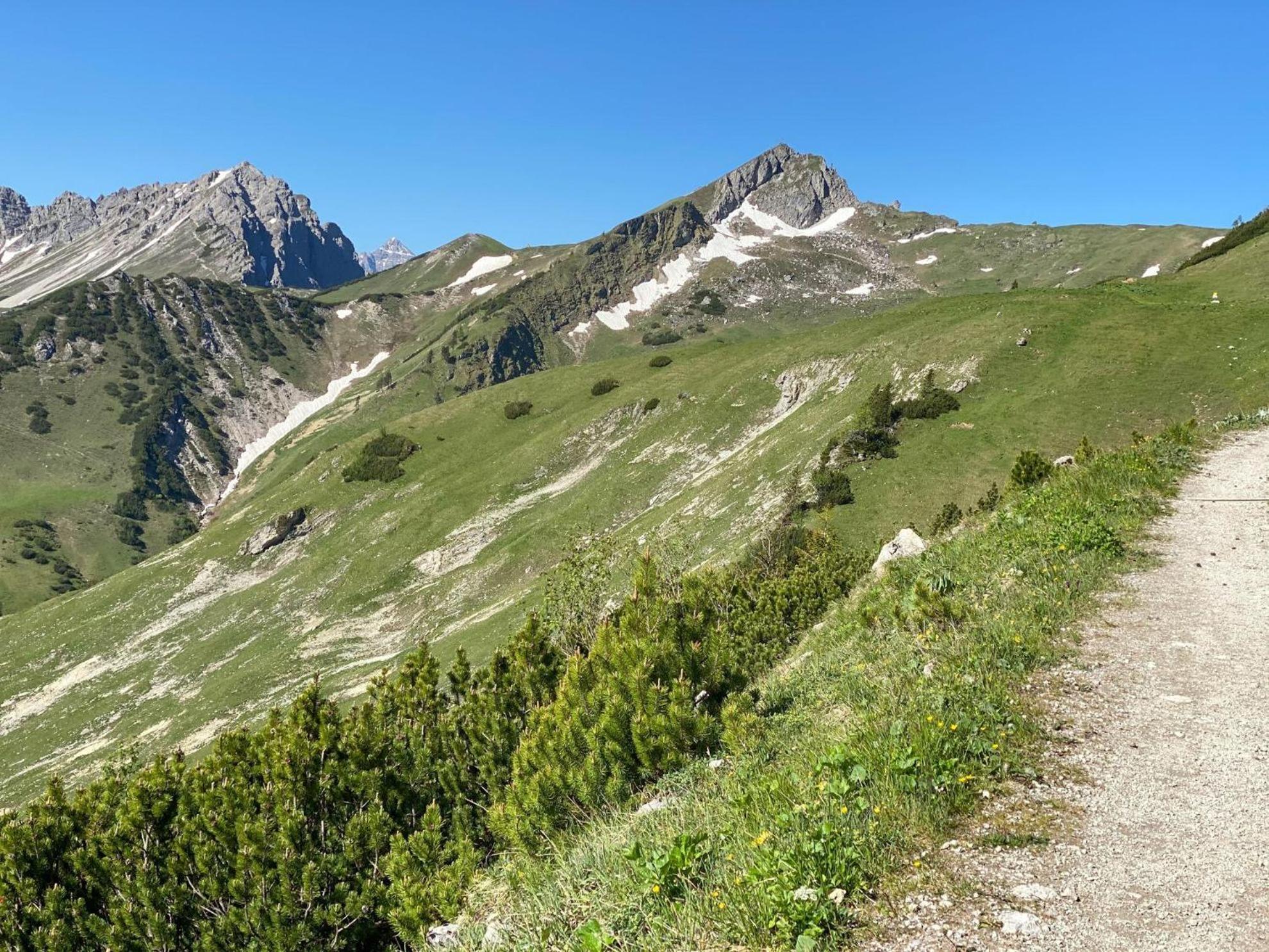 Trollenhof Im Allgaeu - Ferienwohnungen Saeuling Ruckholz Buitenkant foto